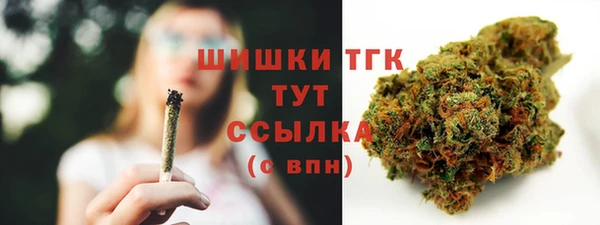 PSILOCYBIN Остров