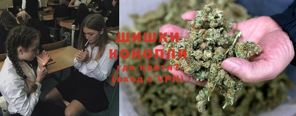 PSILOCYBIN Остров