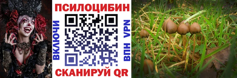 Псилоцибиновые грибы мухоморы Темников
