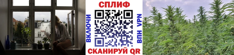 МАРИХУАНА VHQ  omg ссылка  Темников 
